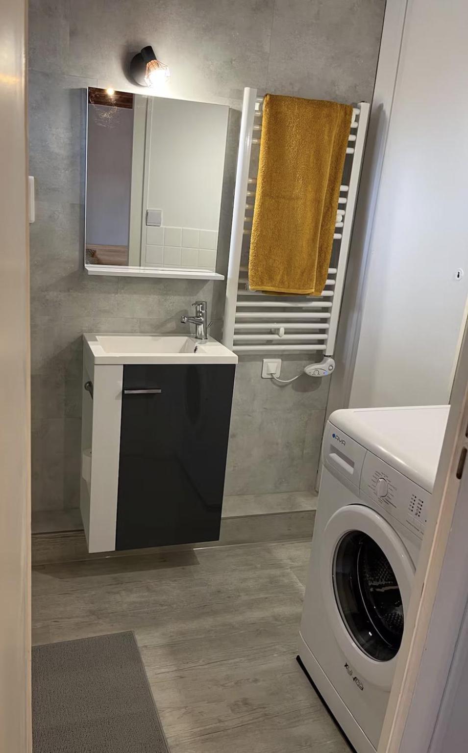 Logements Des Marmottons - Coeur De Village A Bonne-sur-Ménoge Eksteriør billede